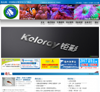 ������cmfish.com