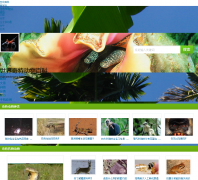 �������ض���ٿ�shijieqitedongwu.baike.com