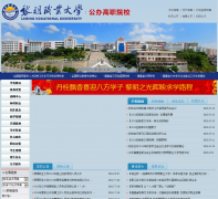 ����ְҵ��ѧlmu.cn