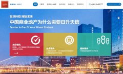 ��������www.suninfo.com.cn