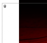 �㶫ʡ�Ǻ�������concerthall.com.cn