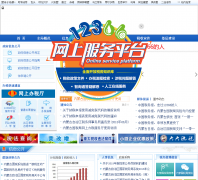 ���ɹ�����������˰���nm-n-tax.gov.cn