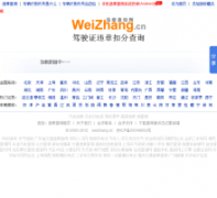 Υ�²�ѯ��weizhang.cn