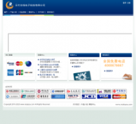 �ո����ߵ��ӿƼ����޹�˾realypay.com