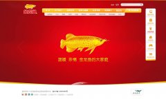 ������ٷ���վwww.jinlongyu.cn