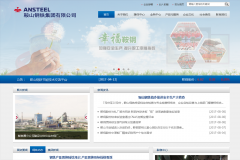 ��ɽ�������Ź�˾www.ansteelgroup.com