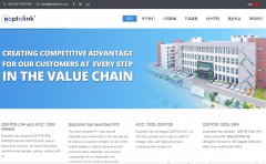 ����ʢeoptolink.com