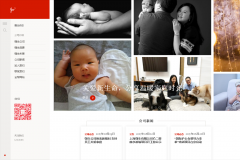 ǿ��www.jnj.com.cn