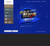 ���ָ��vohringer.com