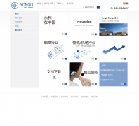 �����ɷ�yonglibelt.com