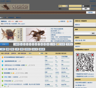 �й����� xishuai.net