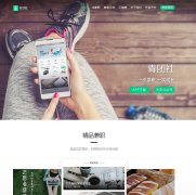 ������www.qtshe.com