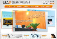 ��õ��wuhanlead.com