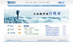 ��������www.baosight.com