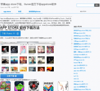 ƻ��app store����app-store.name