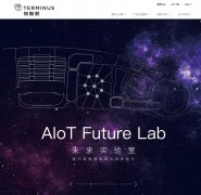 ��˹��www.tslsmart.com