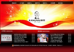 ���μ���kangnai.com