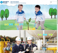 �ۻ�ȼ��towngas.com.cn