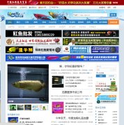 ����֮��longyu.cc