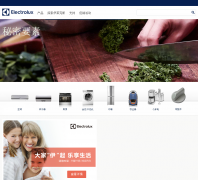������˹electrolux.com.cn