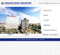 ����ʡ��������ҽԺlyzhenggu.cn