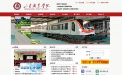 ɽ��ְҵѧԺsdp.edu.cn