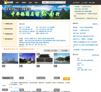 ������ ilvping.com