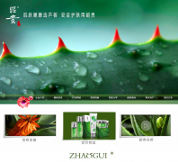 �����ѹ�Ƽ������������ι�˾zhaogui.com