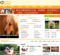 ������aichong.cn