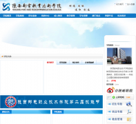 �����ʵ�ְҵ����ѧԺsptc.sn.cn