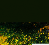 ľ��ɭmulinsen.com