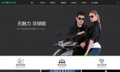 ���ܵ綯��www.lvneng.com