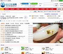 �ɽ�������shsongjiang.com