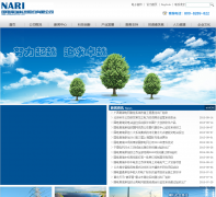 ��������Ƽ��ɷ����޹�˾naritech.cn