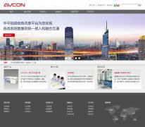 ��ƽ�ɷ�avcon.com.cn