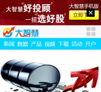 ���ǻ�dzh.com.cn