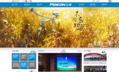 �ɸ����г�www.flying-pigeon.cn