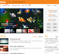 �����ʿjingyanbus.com