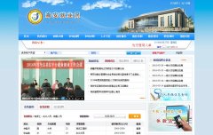 ��������������Ż���վqingfeng.gov.cn