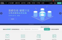 �׶�����capitalonline.net.cn