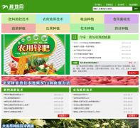 �ֵ���zhongdi168.com