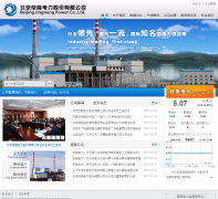 �������ܵ����ɷ����޹�˾jingnengpower.com