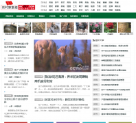 ũ���¸���nczfj.com