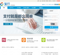 ����֧��baofoo.com