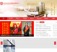 �人���̼��Źɷ����޹�˾wushang.com.cn