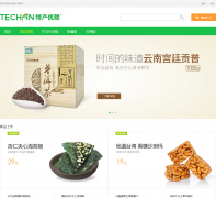 �ز�����techan.com