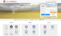 �ӱ�ʡ����˰������ϰ�˰������wsbs.hebtax.gov.cn