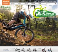 �ݰ��ص綯��giantev.com.cn