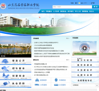 ɽ��ҩƷʳƷְҵѧԺsddfvc.cn