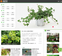 ���ž�fengqiaoju.com